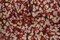 Satin Floral Print Fabric Woven Polyester 57/58” Wide for Dresses & Decor